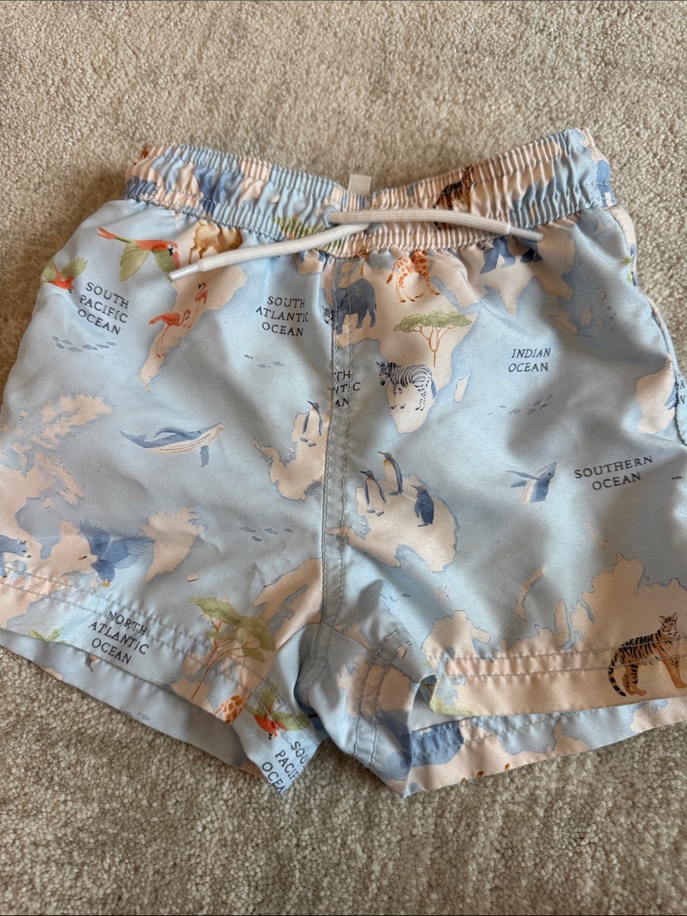 Janie and Jack Baby Swim Trunks